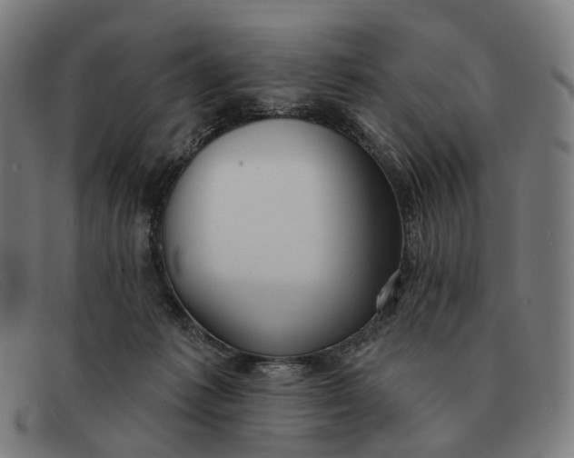 X0000091330221200708311443