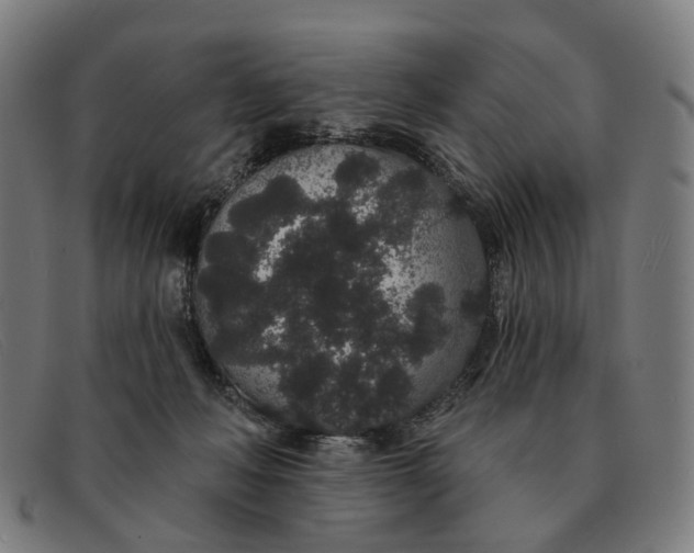 X0000091330222200708311443