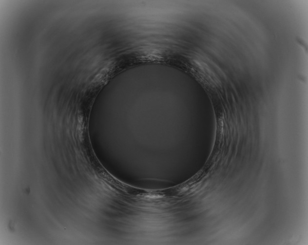X0000091330223200708311443