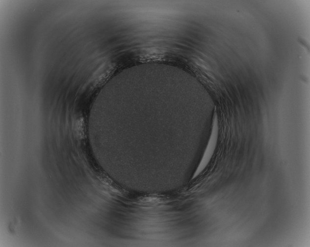 X0000091330224200708311443