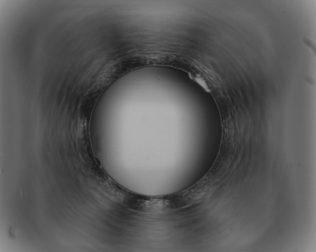X0000091330225200708311442