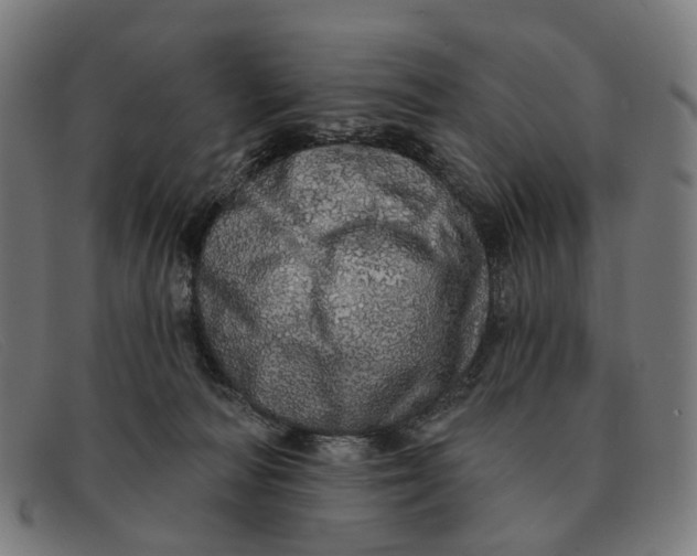 X0000091330226200708311442