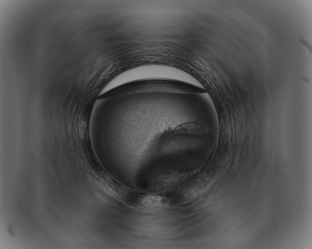 X0000091330227200708311442