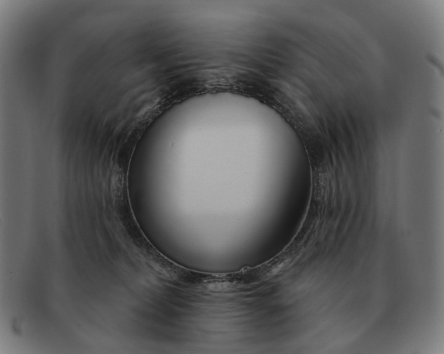 X0000091330228200708311442