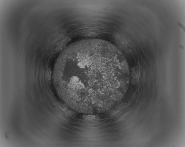 X0000091330230200708311442