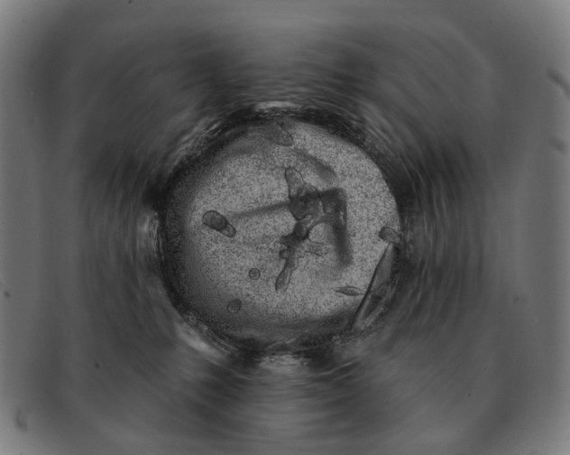 X0000091330231200708311442