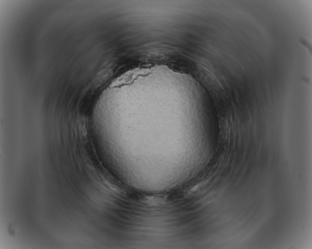 X0000091330232200708311442