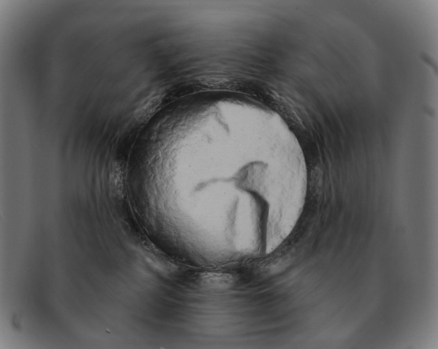 X0000091330234200708311442