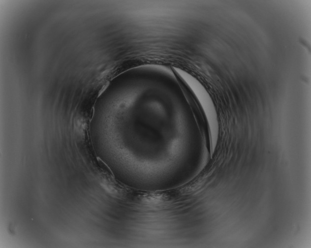 X0000091330235200708311442