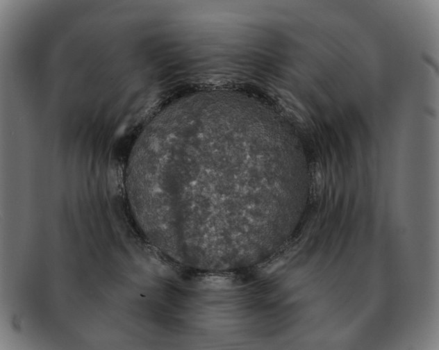 X0000091330236200708311442
