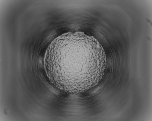 X0000091330238200708311442