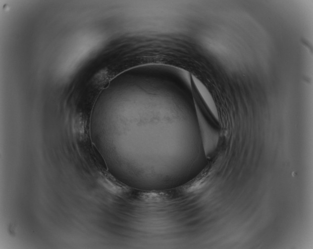 X0000091330239200708311442