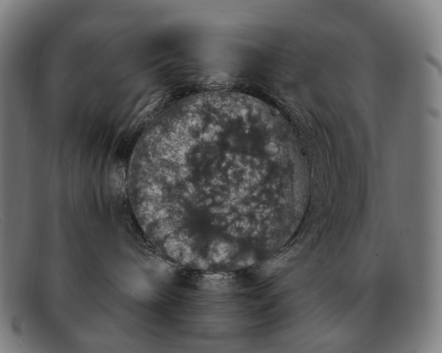 X0000091330240200708311442