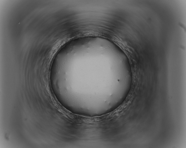 X0000091330241200708311442