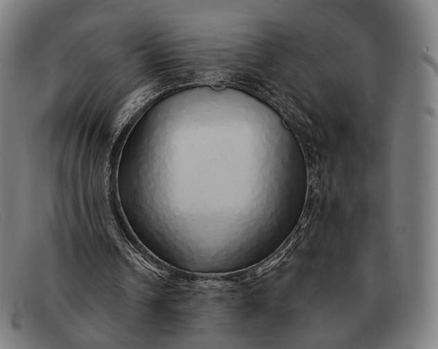X0000091330242200708311442