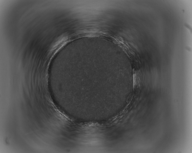 X0000091330243200708311442