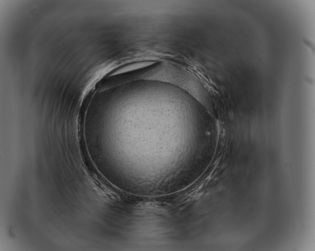 X0000091330244200708311442
