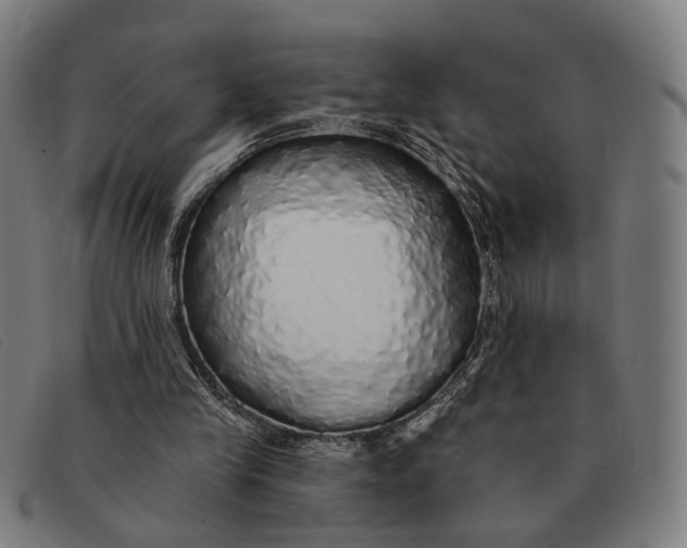 X0000091330245200708311442