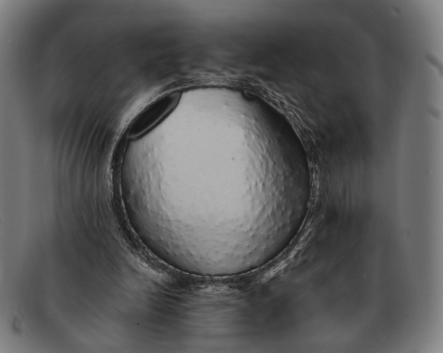 X0000091330246200708311442