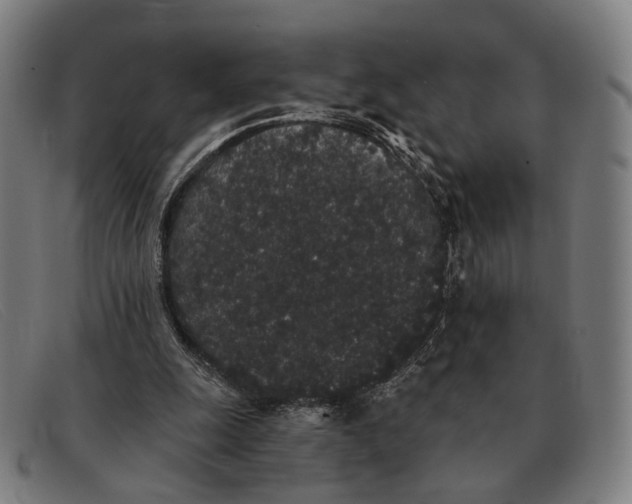 X0000091330247200708311442