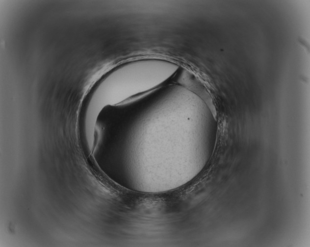 X0000091330248200708311442