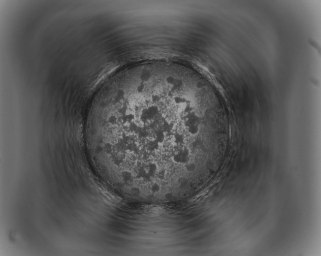 X0000091330249200708311442