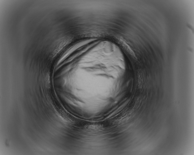 X0000091330251200708311442