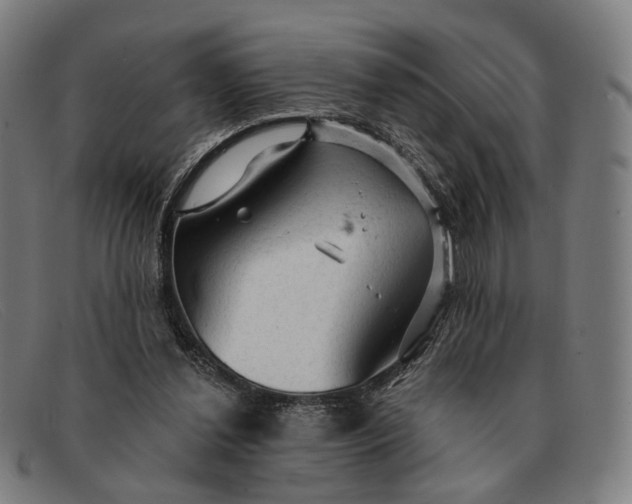 X0000091330252200708311442
