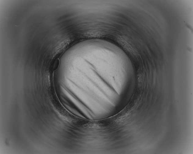 X0000091330254200708311442