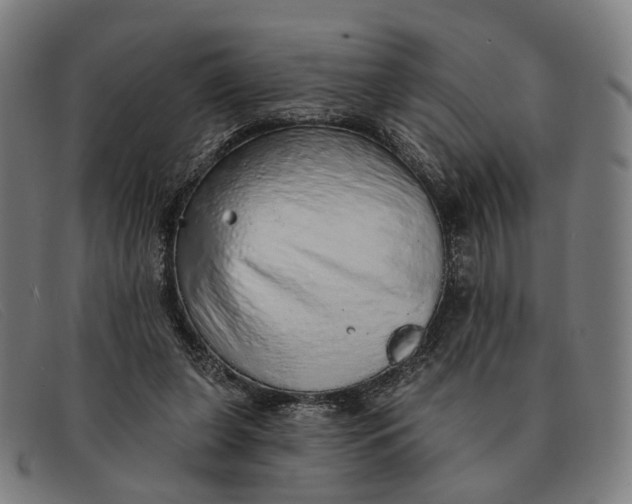 X0000091330255200708311442
