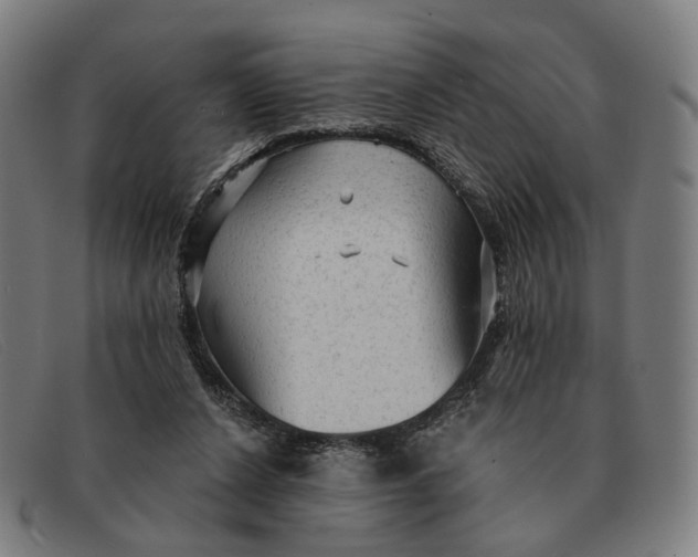 X0000091330256200708311442