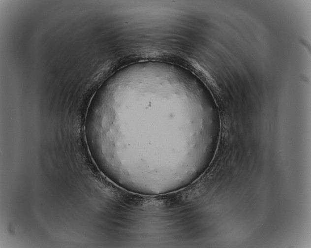X0000091330257200708311442