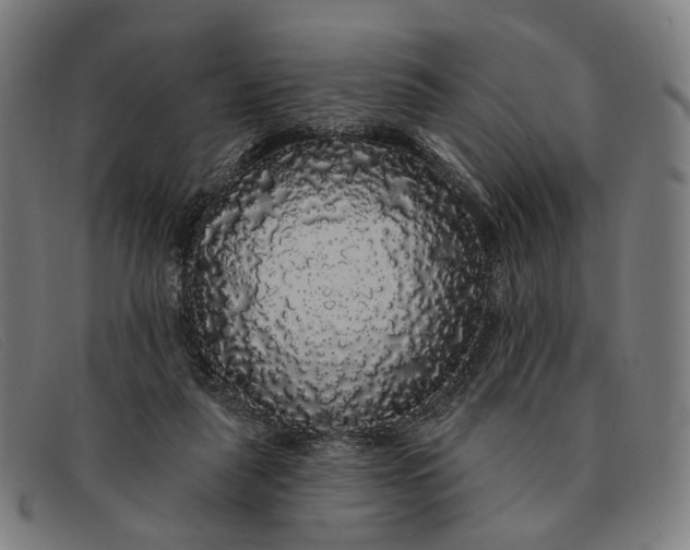 X0000091330259200708311442