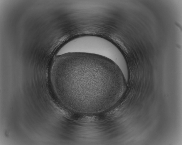 X0000091330260200708311442