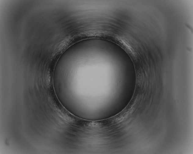 X0000091330261200708311442