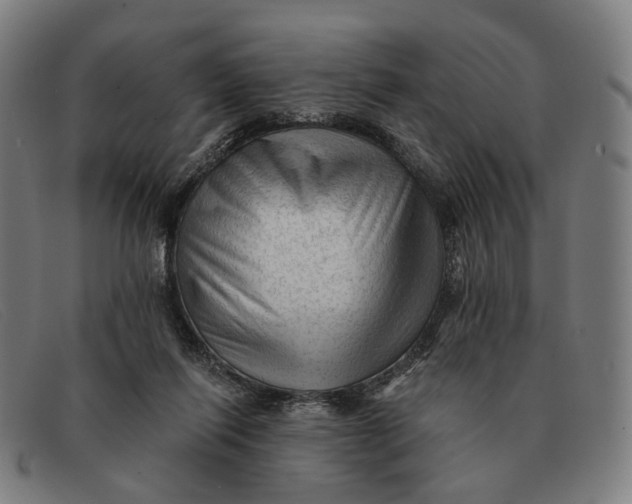 X0000091330262200708311442