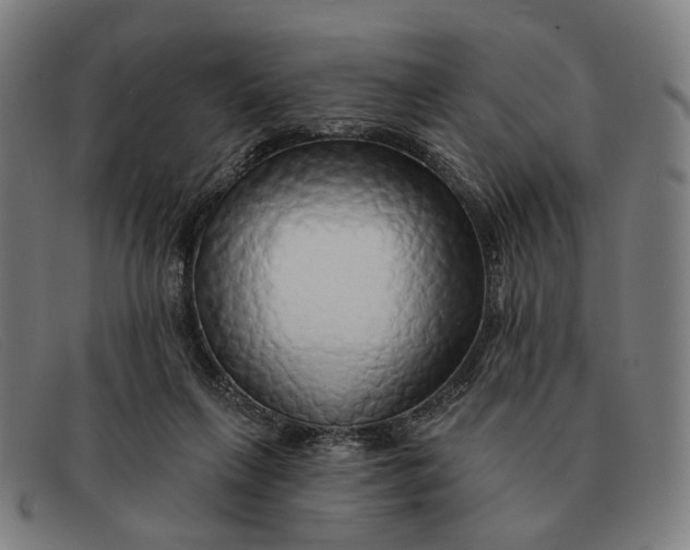 X0000091330263200708311442