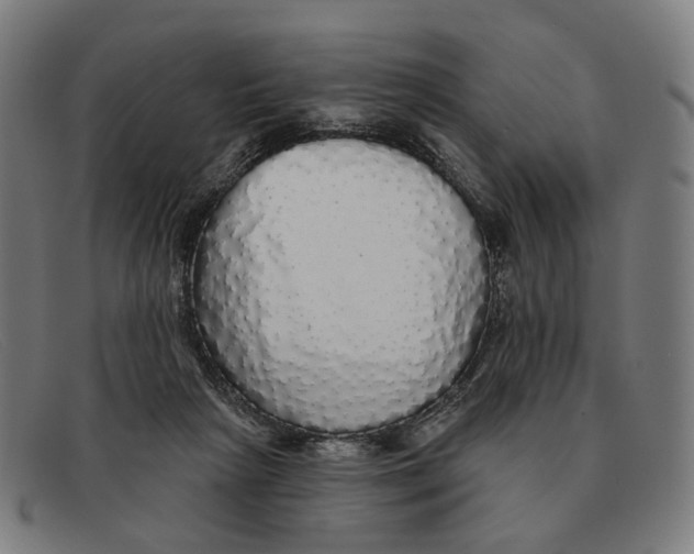 X0000091330265200708311442