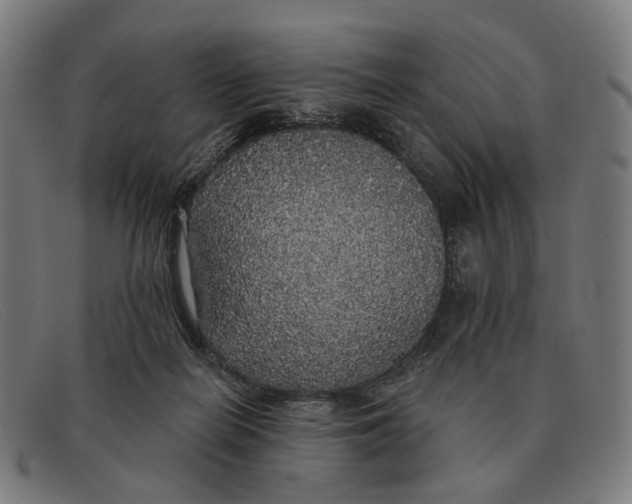 X0000091330266200708311442