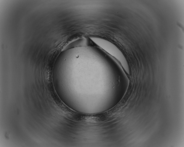 X0000091330268200708311442