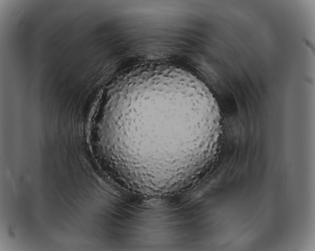 X0000091330269200708311442