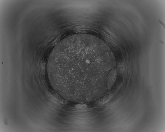 X0000091330271200708311442