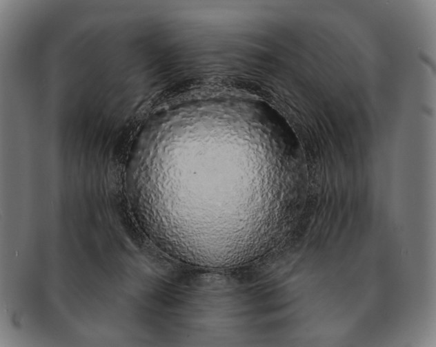 X0000091330272200708311442