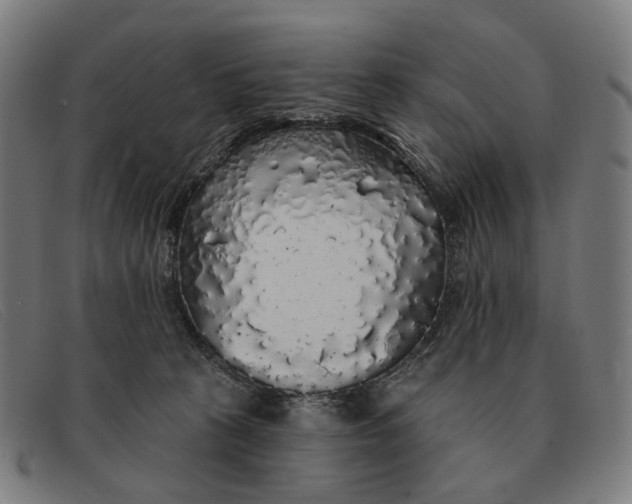 X0000091330273200708311442