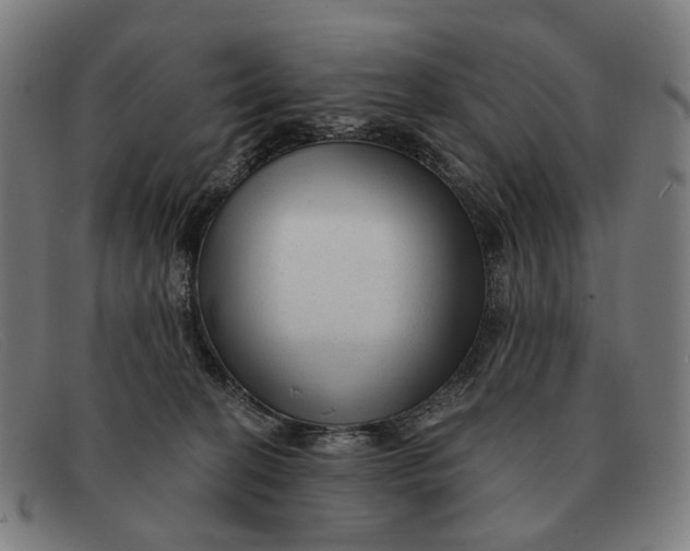 X0000091330274200708311442