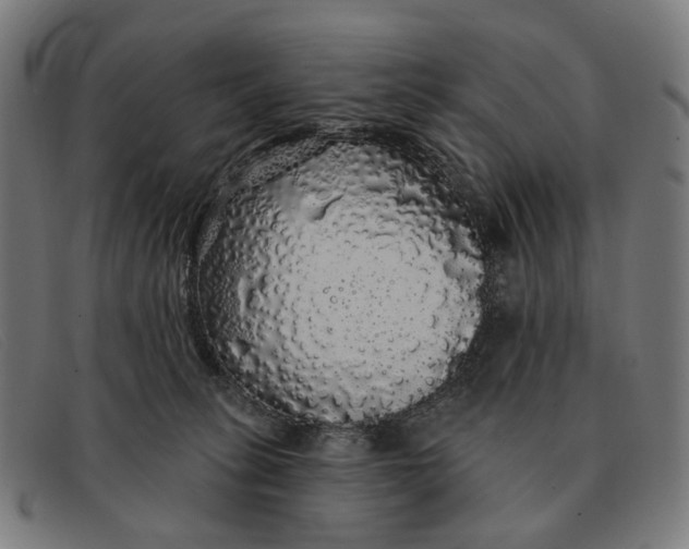 X0000091330275200708311442