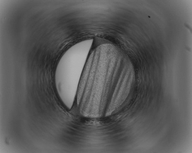 X0000091330276200708311442