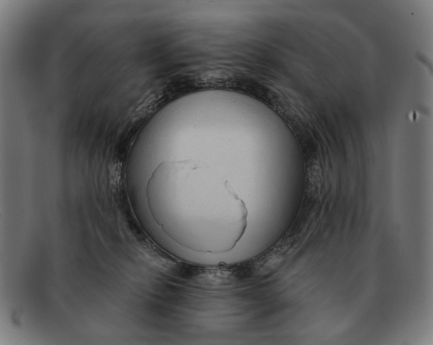 X0000091330278200708311442