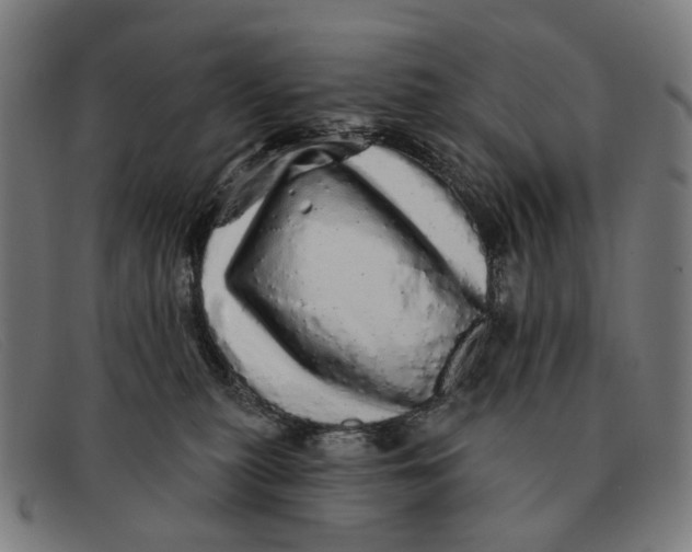 X0000091330279200708311442