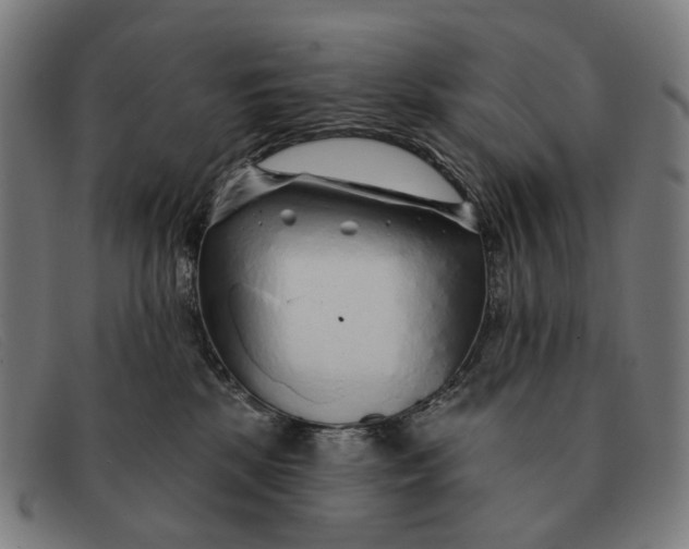 X0000091330281200708311442